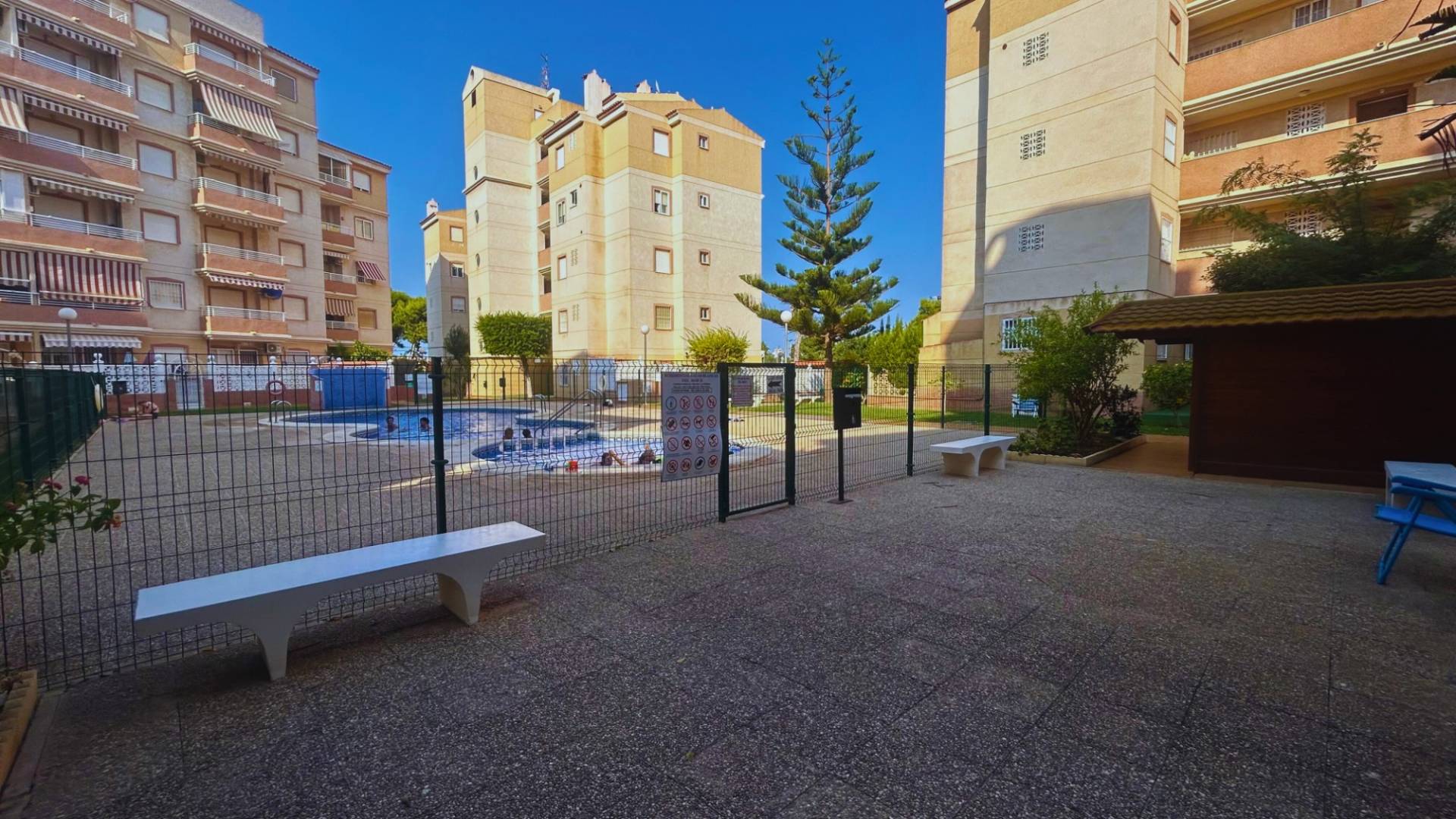 Gebraucht - Wohnung - Torrevieja - Torrevieja/Calas Blancas