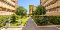 Gebraucht - Wohnung - Torrevieja - 