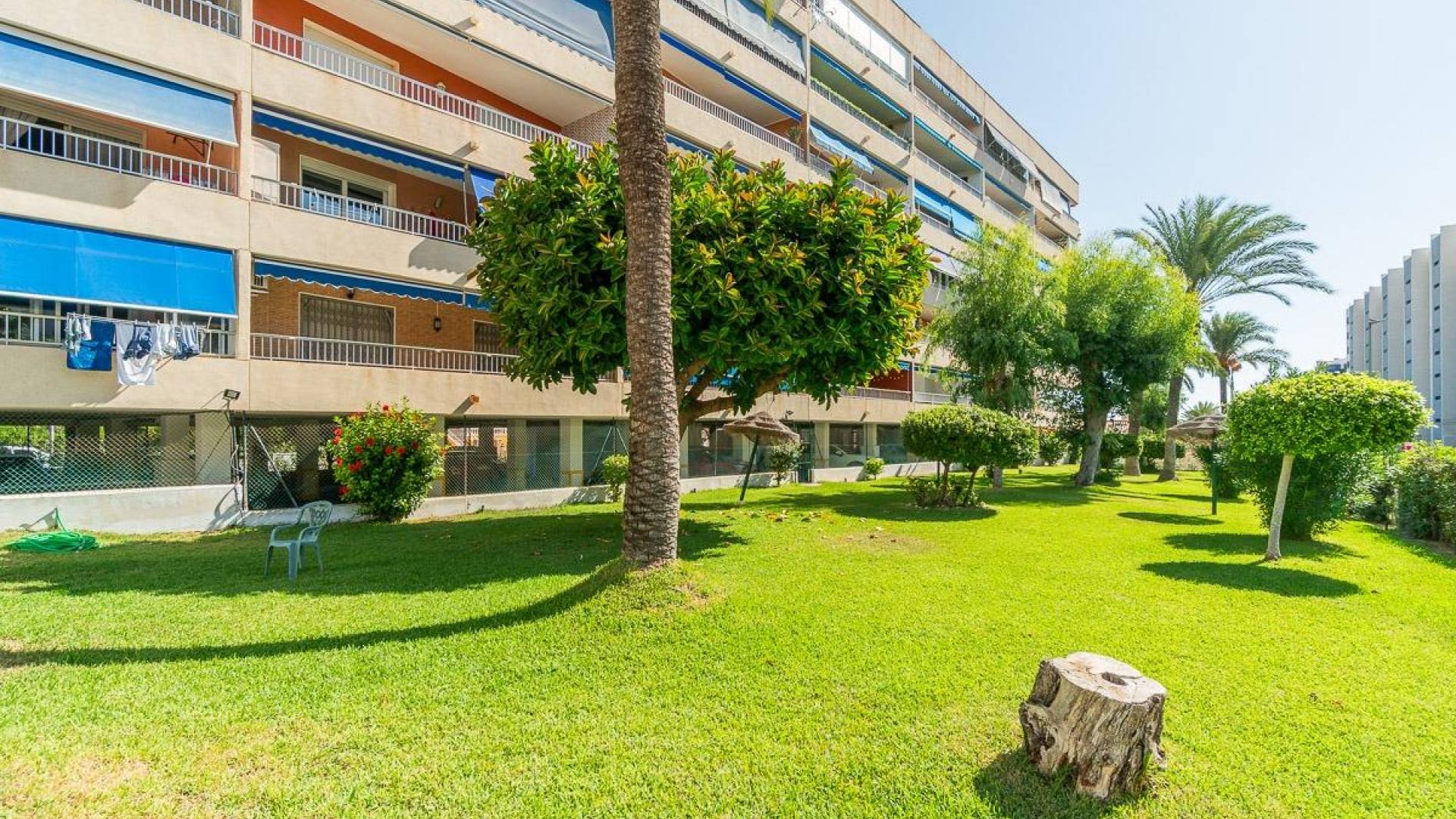 Gebraucht - Wohnung - Torrevieja - 