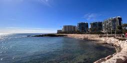Gebraucht - Wohnung - Torrevieja - 