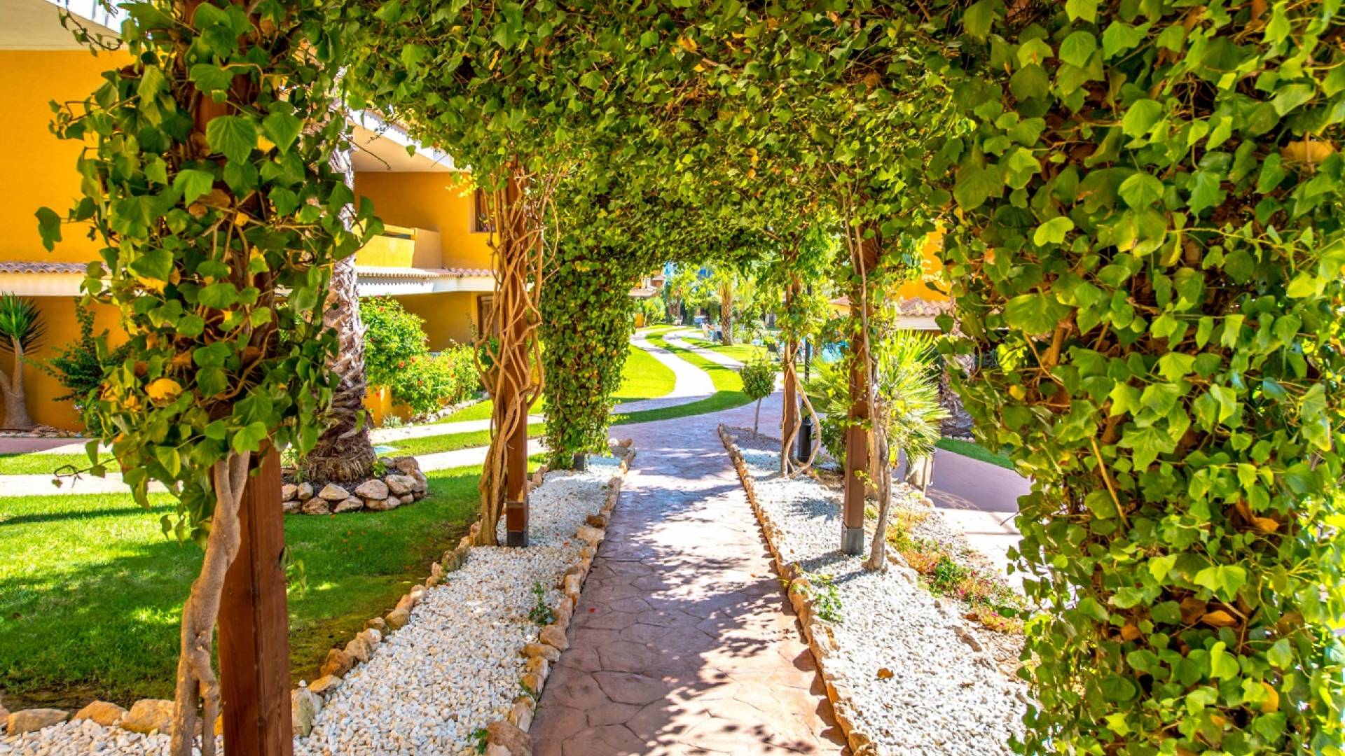 Gebraucht - Wohnung - Torrevieja - 