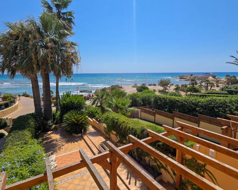 Gefüllt · Gebraucht · El Campello · El Campello