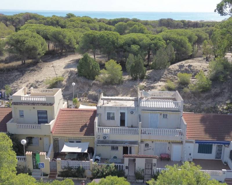 Gefüllt · Gebraucht · Guardamar del Segura · Lomas de Polo-Pinomar