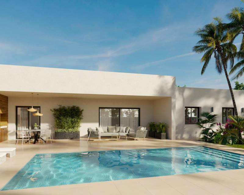 Independent villa · New Build · Aspe · Aspe