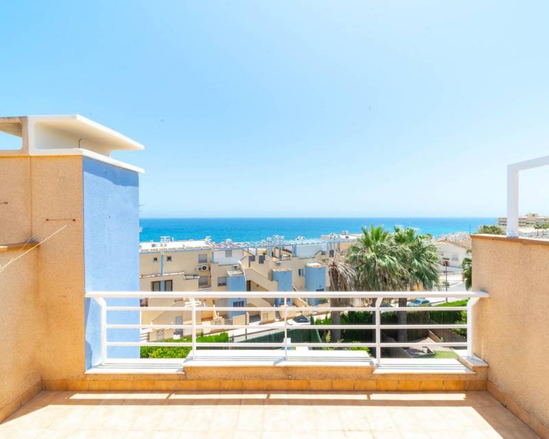 Jumelée · D'occasion · Orihuela Costa · Campoamor