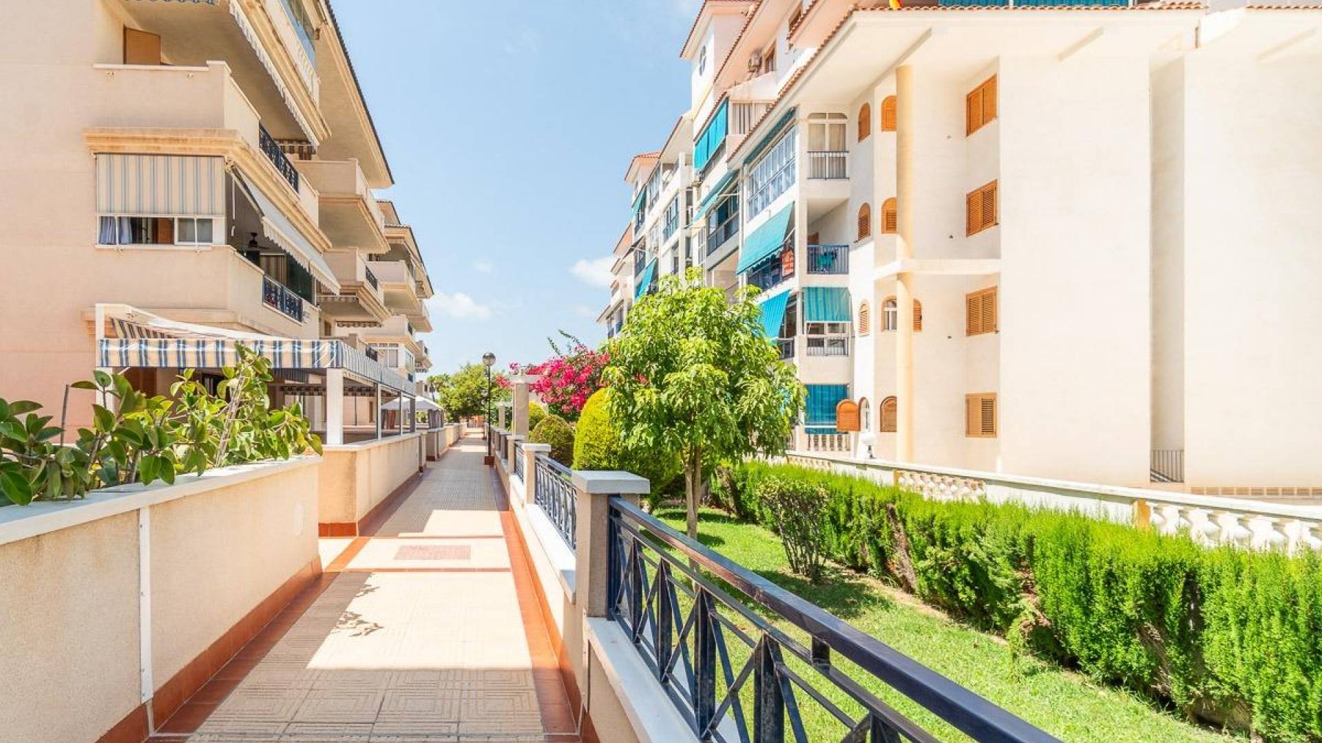 Langzeitvermietung - Wohnung - Torrevieja - La Mata