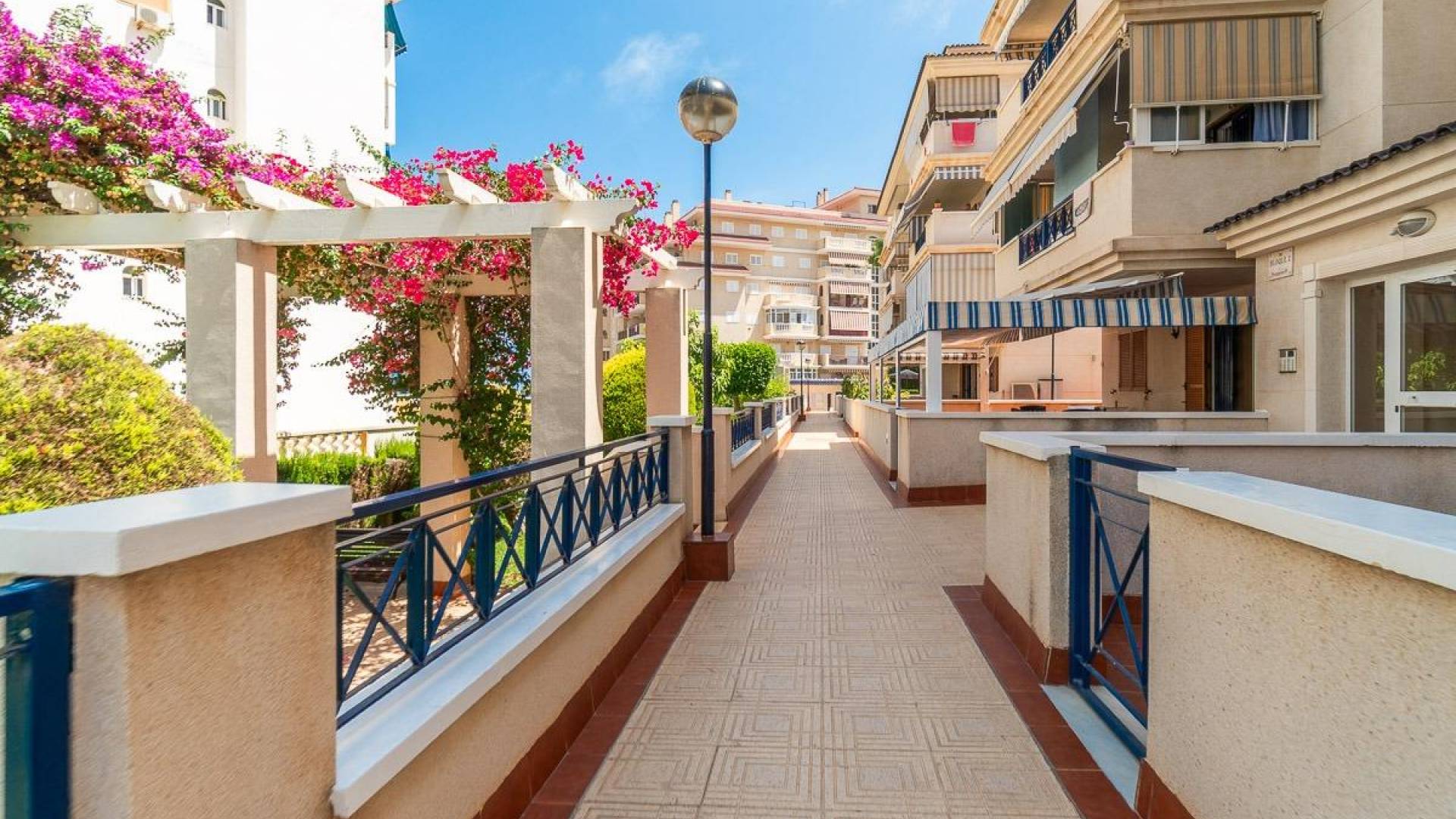 Location longue durée - Appartement - Torrevieja - La Mata