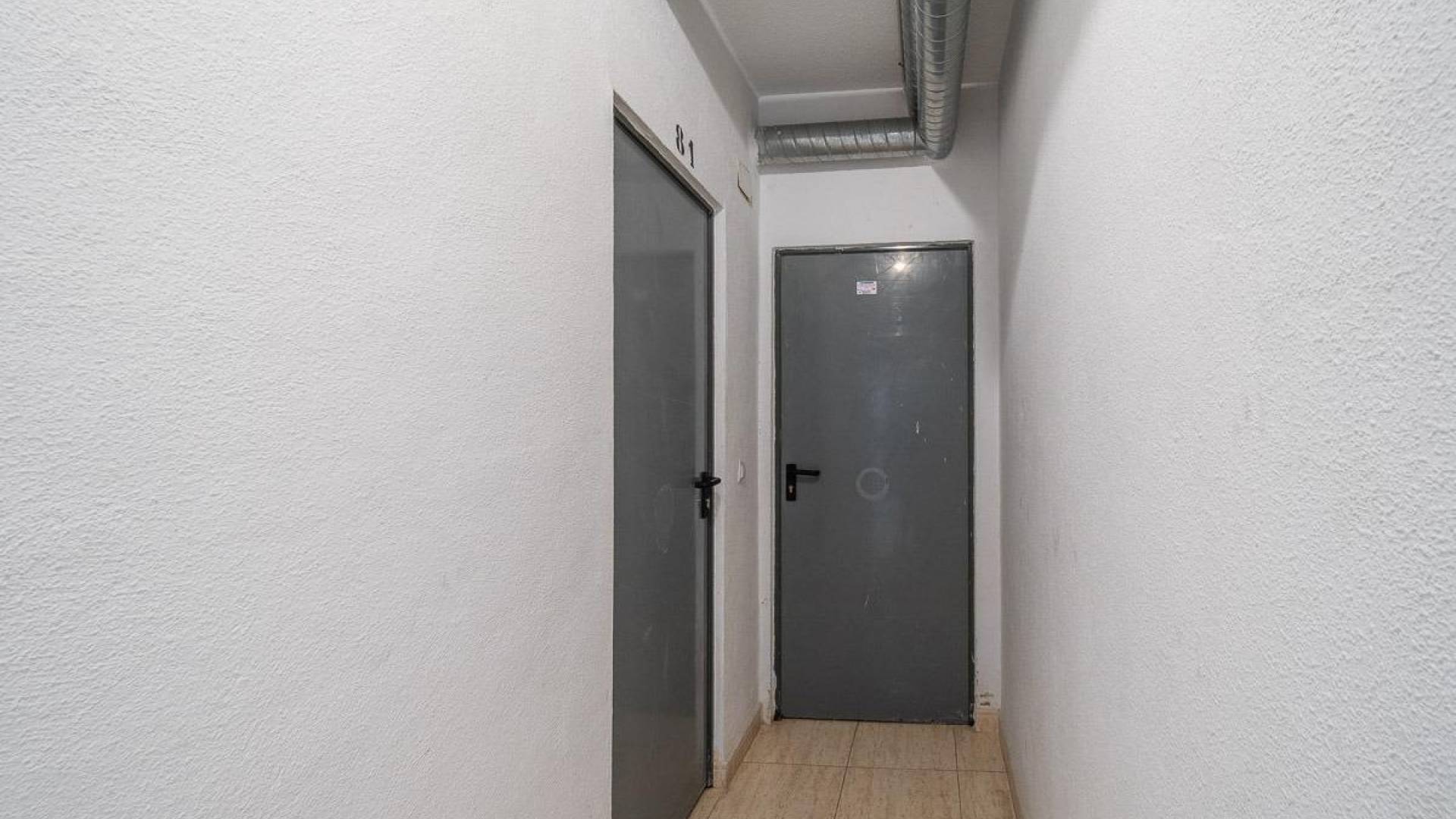 Location longue durée - Appartement - Torrevieja - La Mata