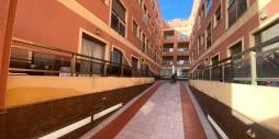 Long time Rental - Apartment - Formentera del Segura - Los Palacios