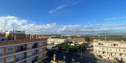 Long time Rental - Apartment - Formentera del Segura - Los Palacios