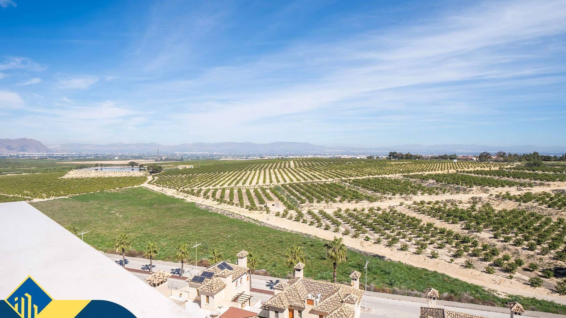 Neubau - Doppelhaushälfte - Algorfa - La finca