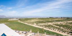 Neubau - Doppelhaushälfte - Algorfa - La finca