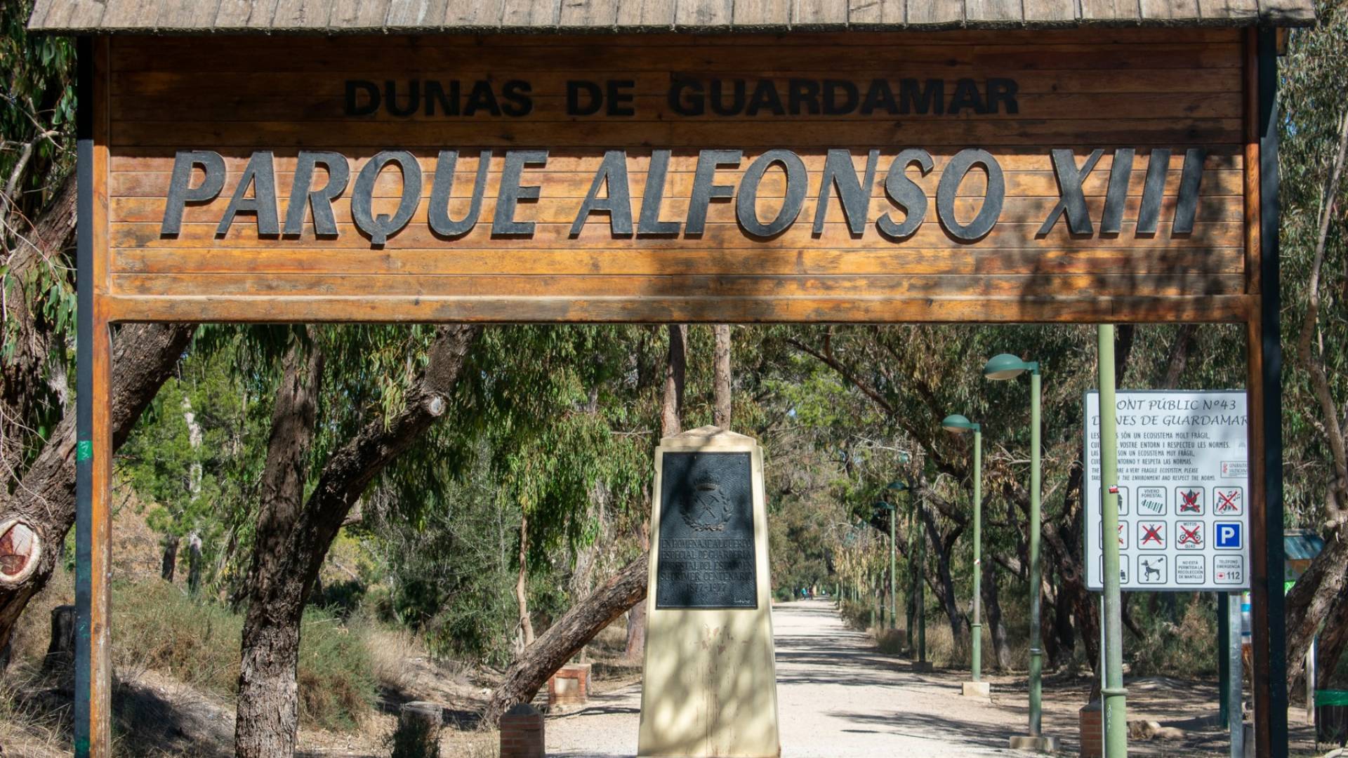 Neubau - Locaux commerciaux - Guardamar del Segura - Guardamar Playa