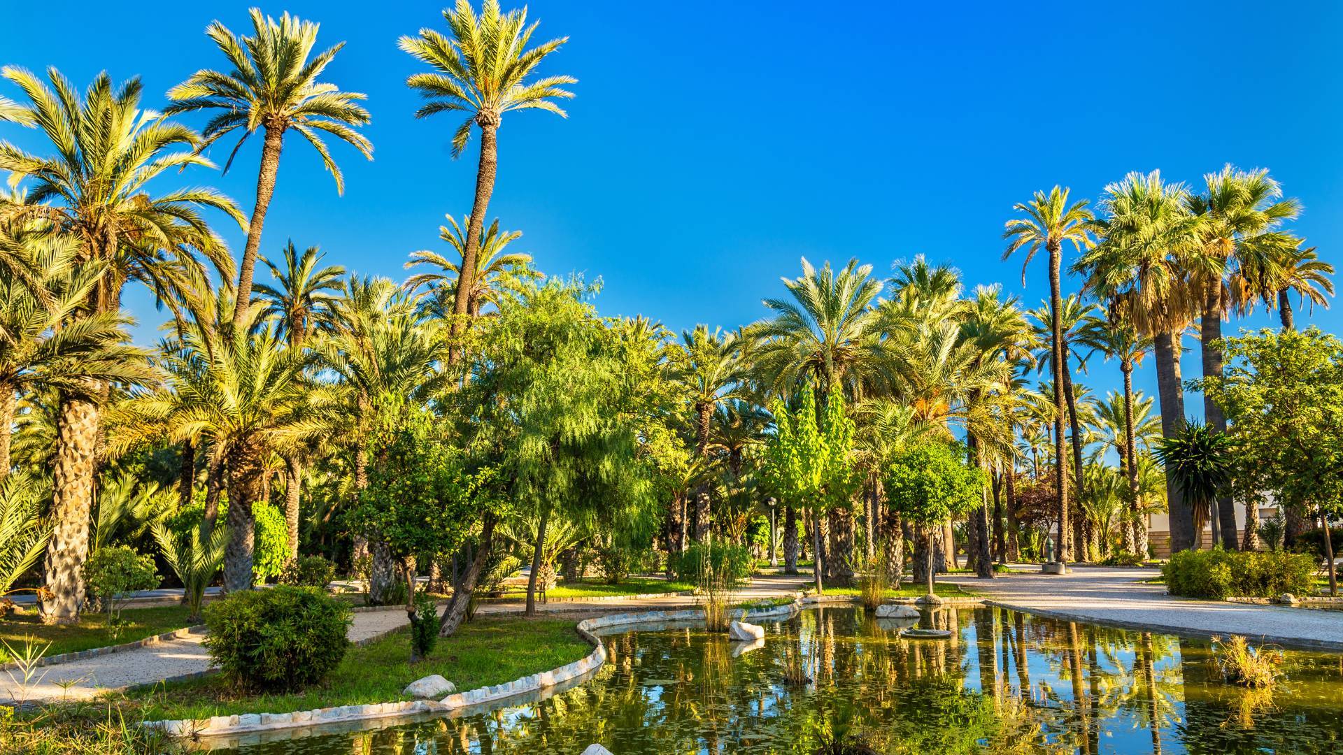 Neubau - Penthouse - Elche - Center