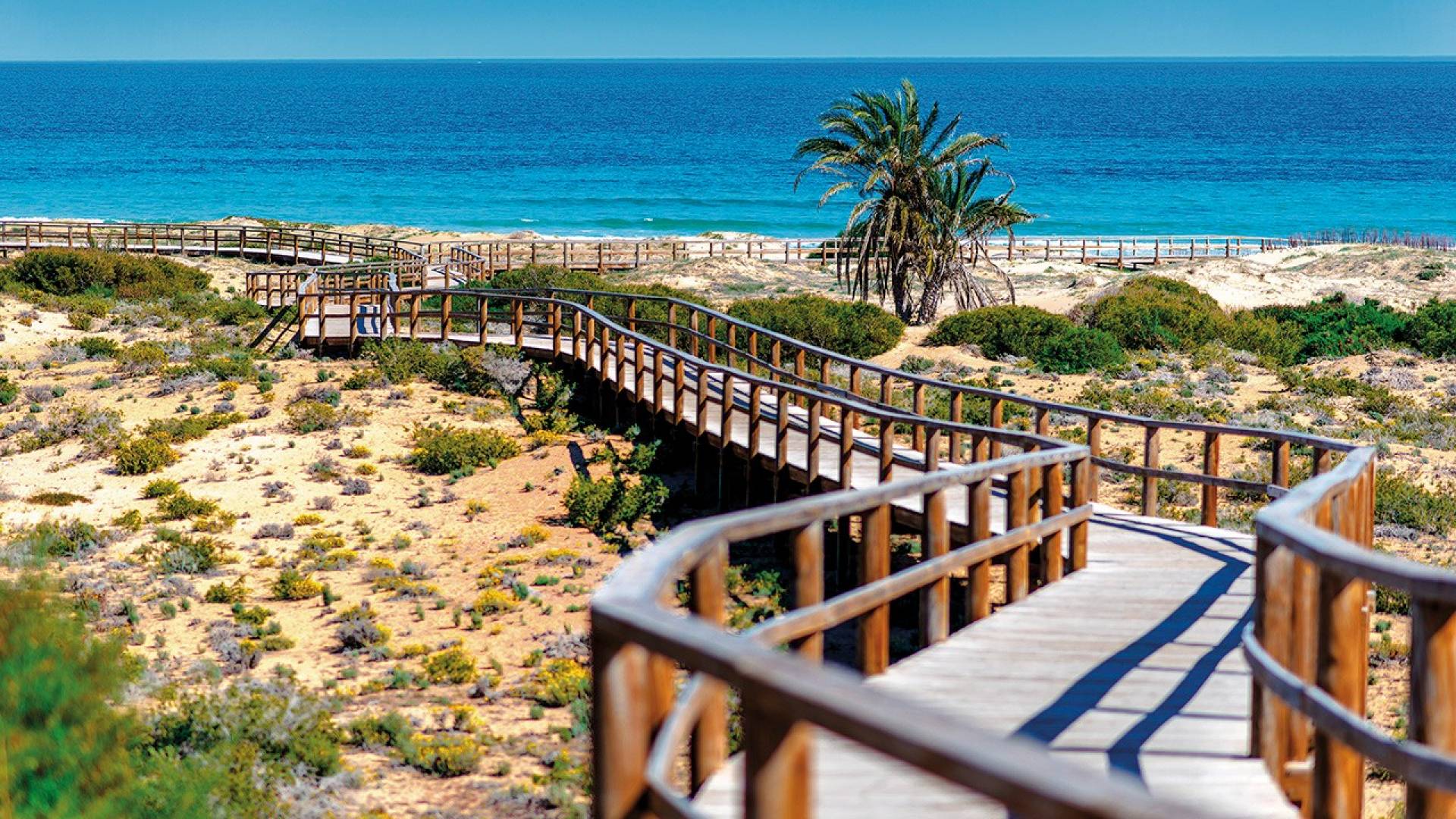 Neubau - Townhouse - Monforte del Cid