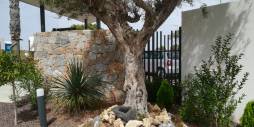 Neubau - Townhouse - Torrevieja