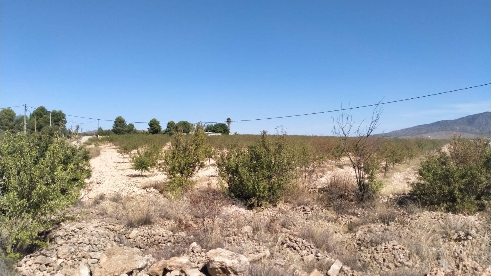 Neubau - Unabhängige Villa - Pinoso