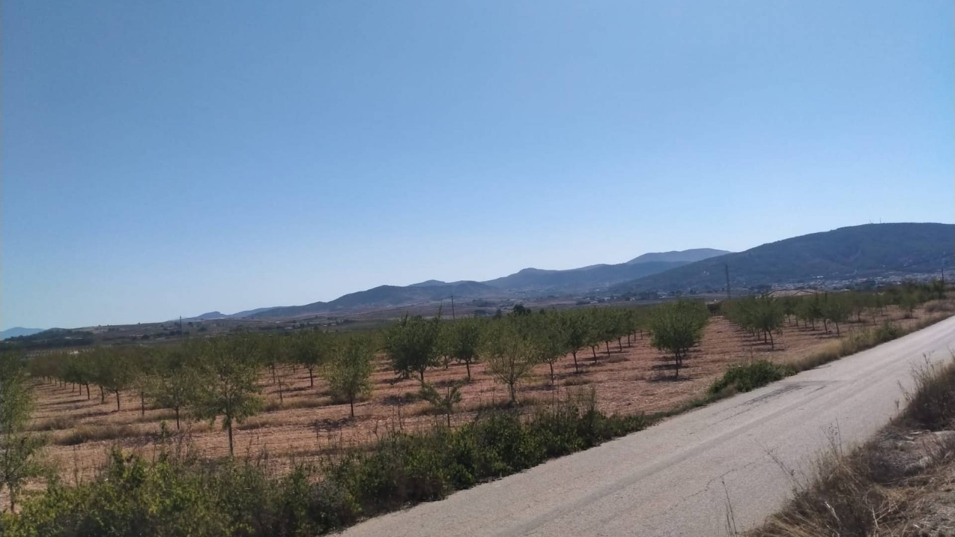 Neubau - Unabhängige Villa - Pinoso