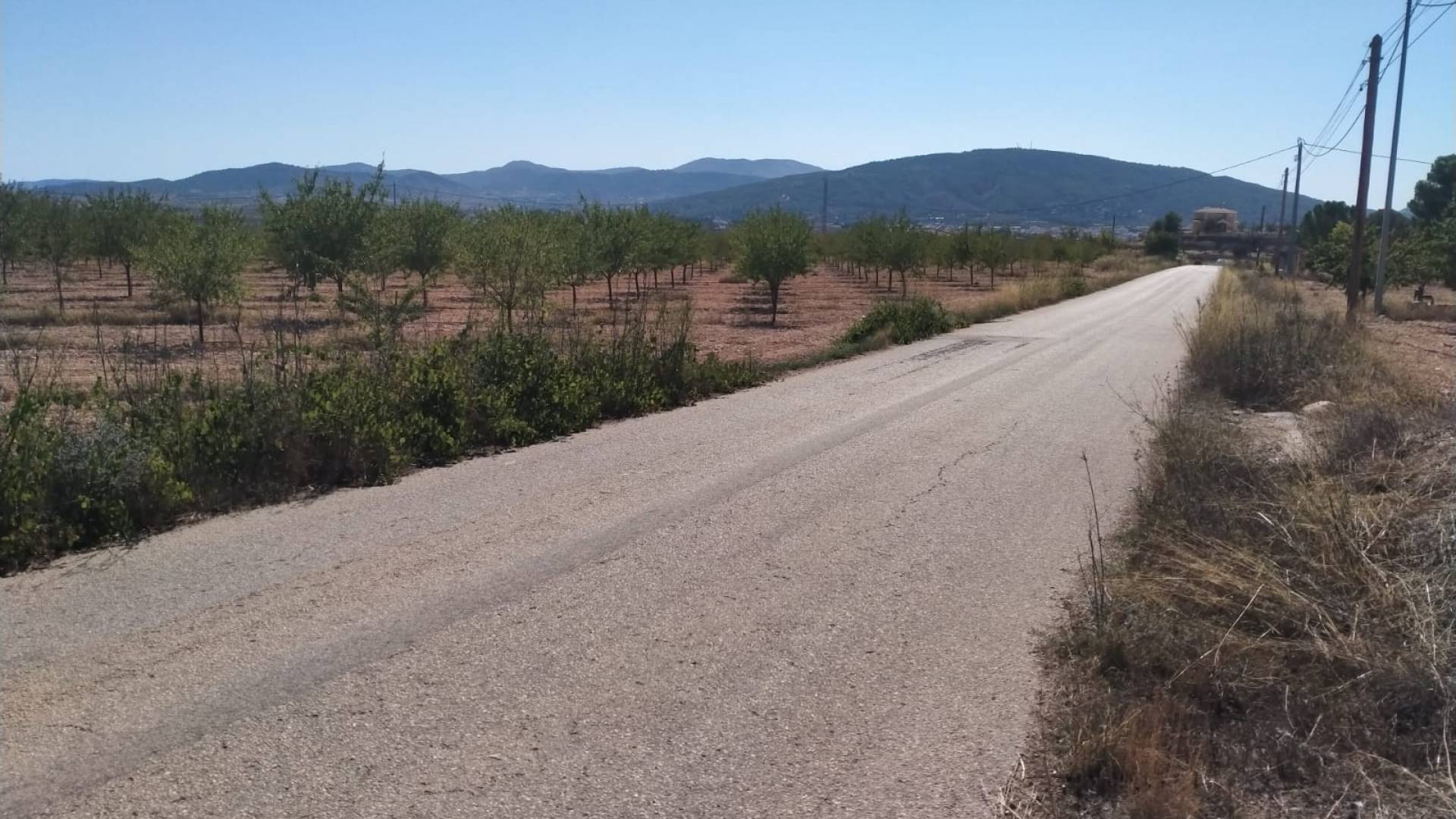 Neubau - Unabhängige Villa - Pinoso