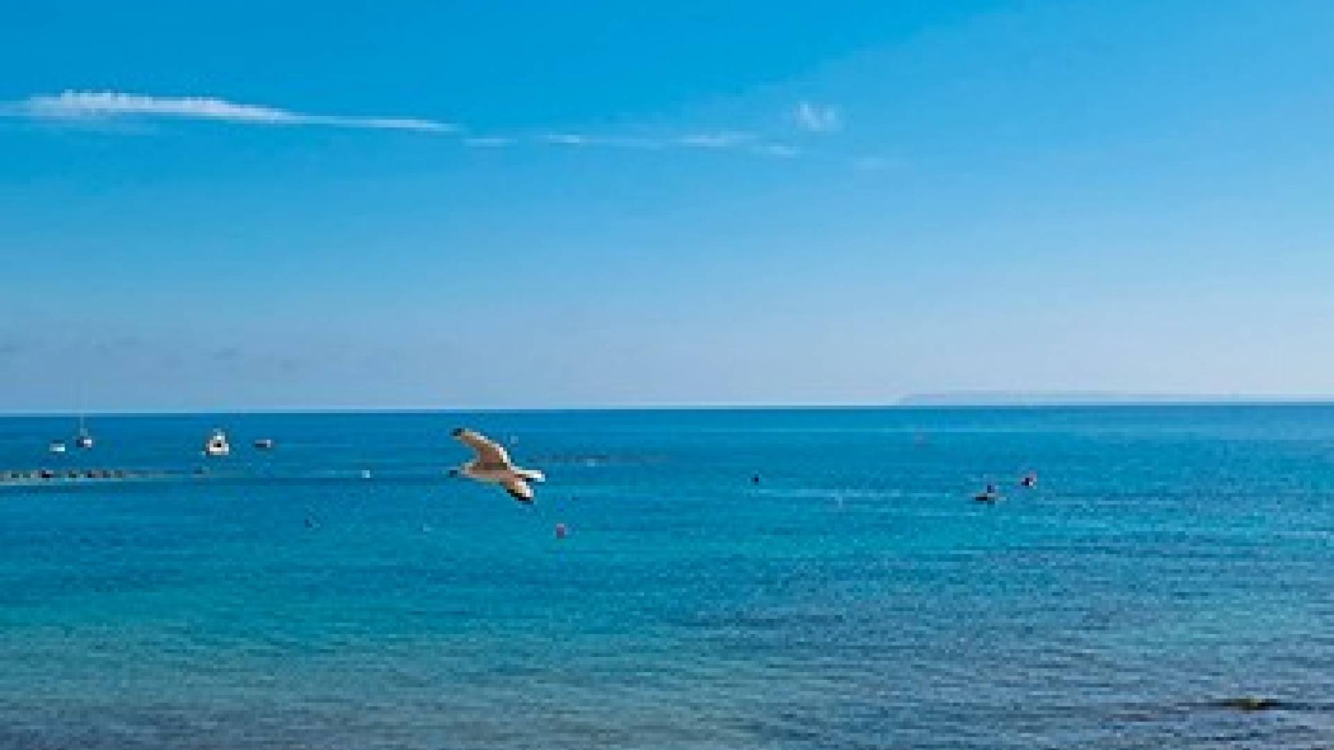 Neubau - Wohnung - Alicante - 