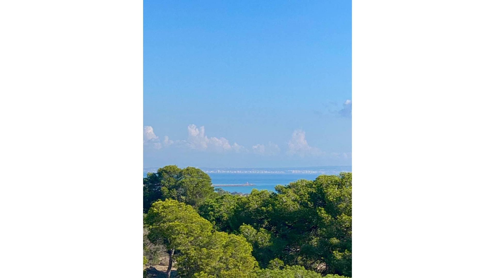 New Build - Apartment - Flat - Guardamar del Segura - Centro