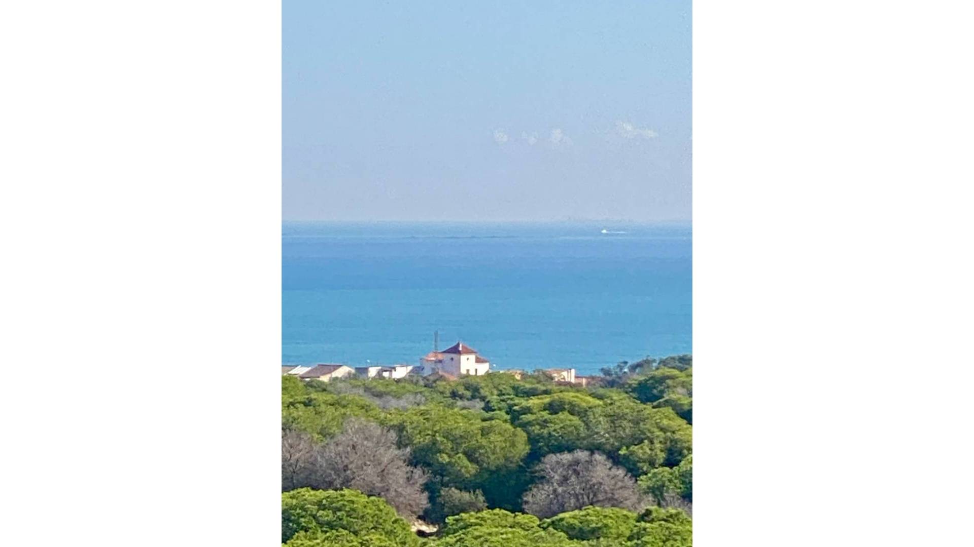 New Build - Apartment - Flat - Guardamar del Segura - Centro