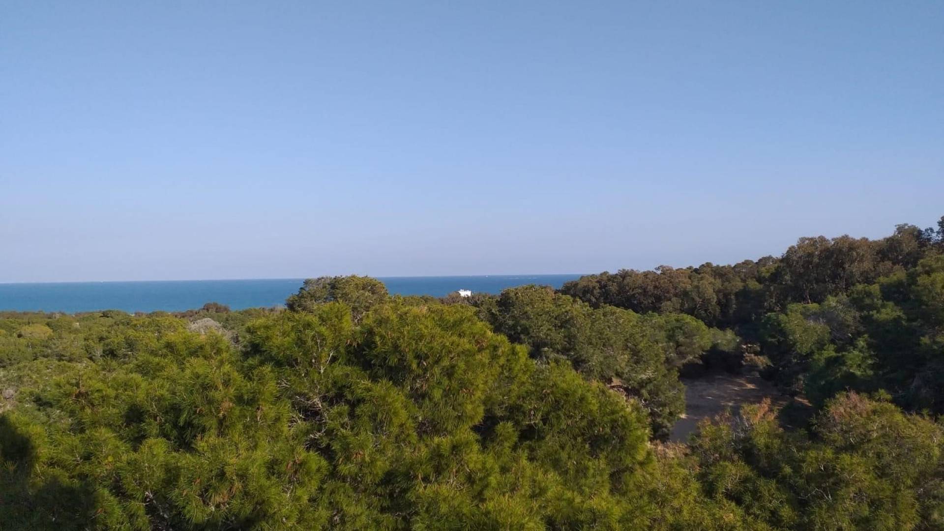 New Build - Apartment - Flat - Guardamar del Segura - Guardamar pueblo