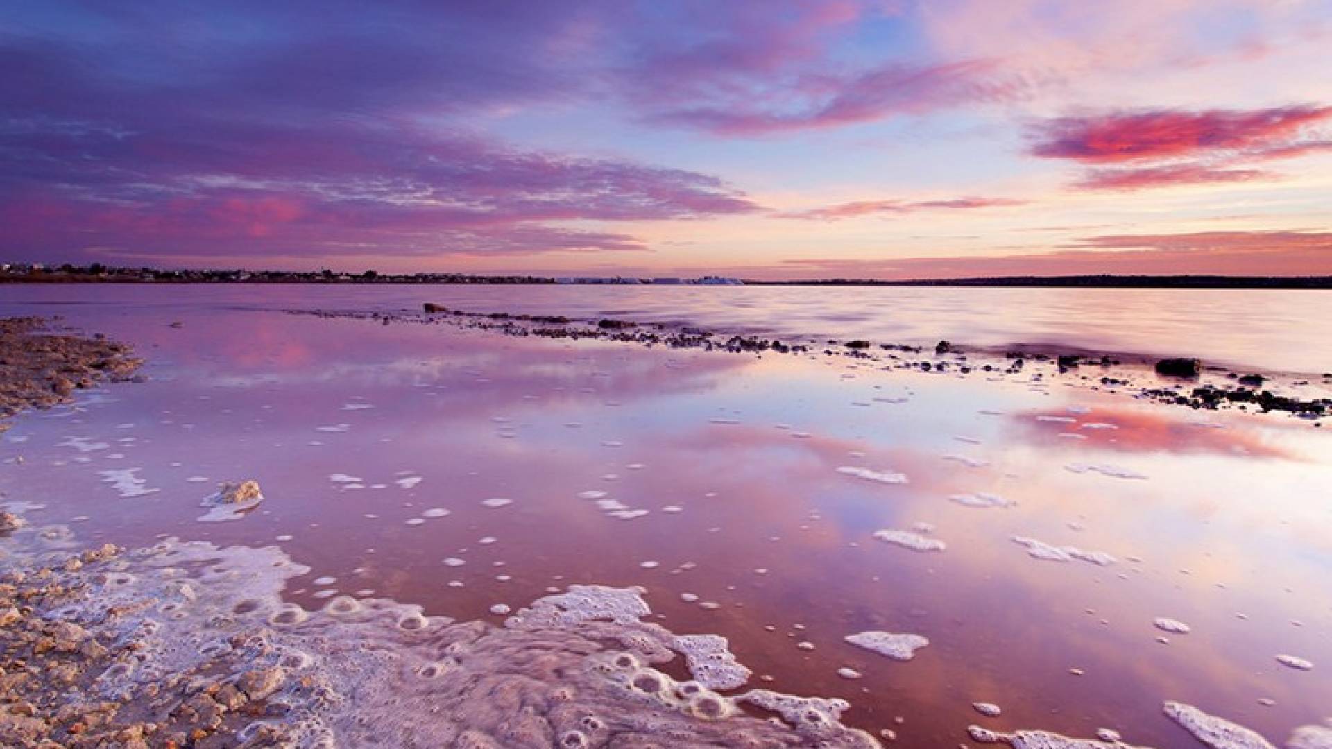 New Build - Apartment - Flat - Orihuela Costa - Playa Flamenca