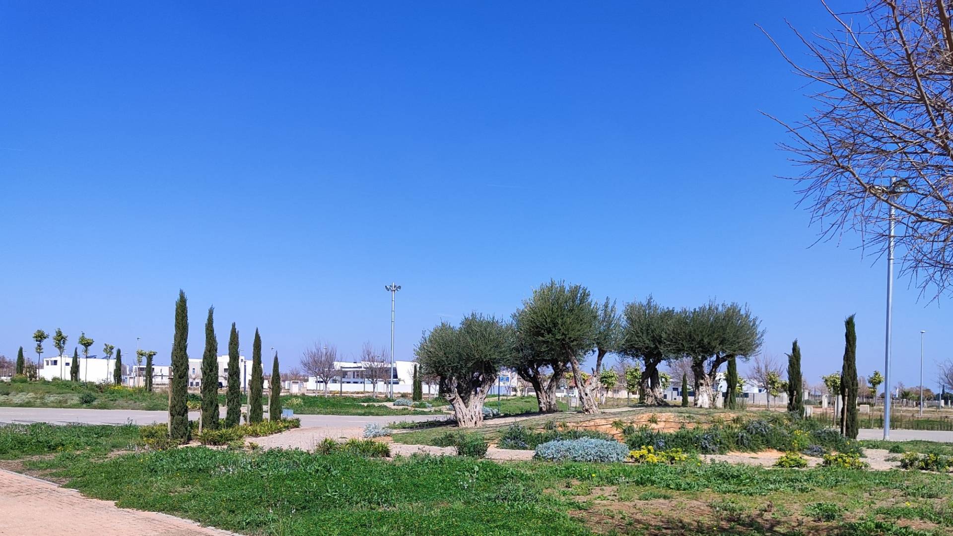 New Build - Apartment - Flat - Torre Pacheco