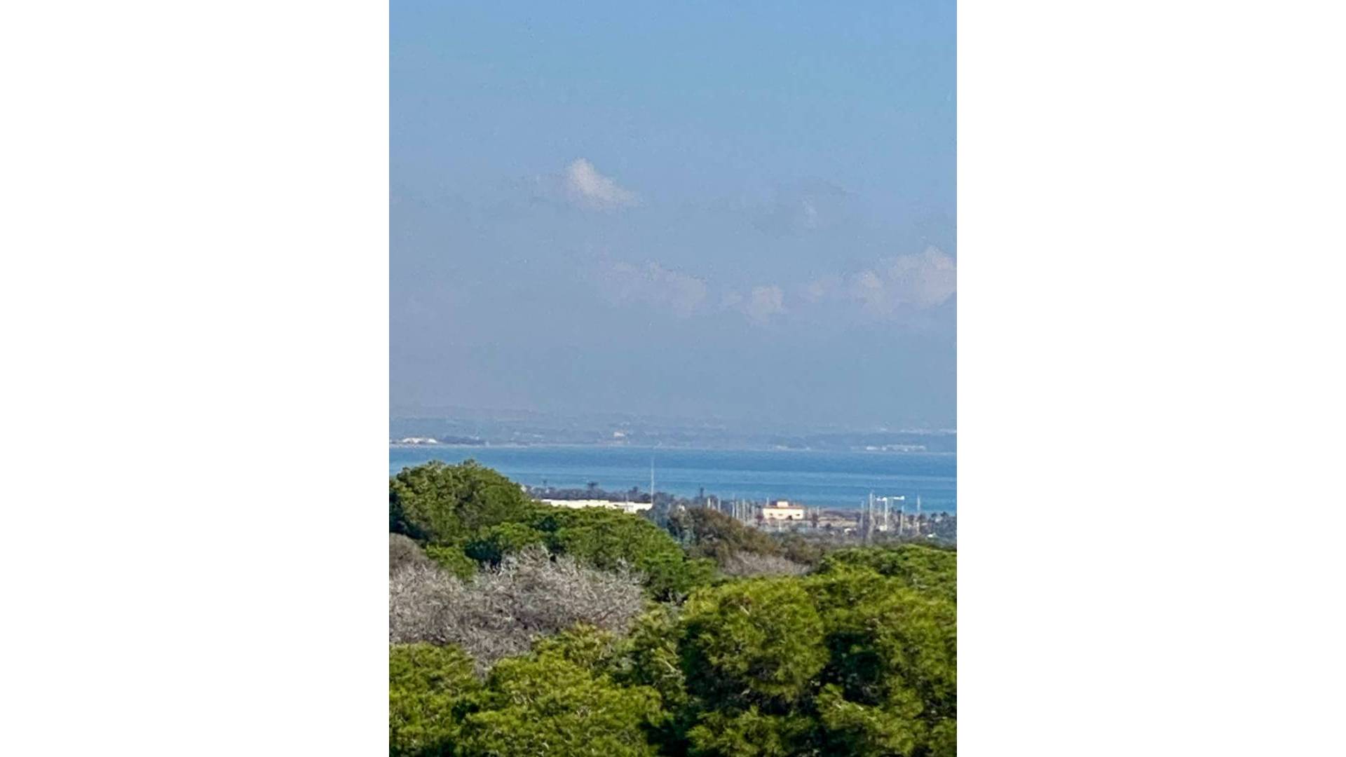 New Build - Apartment - Guardamar del Segura - Centro