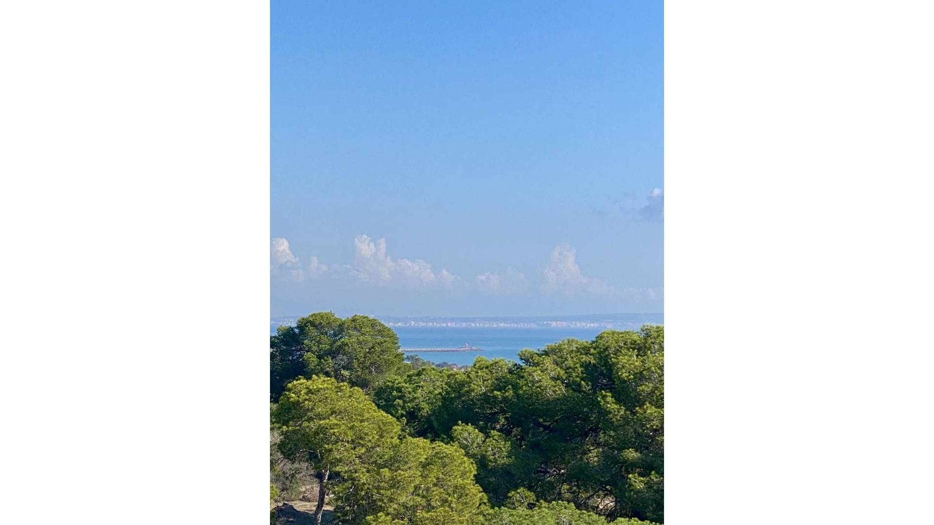 New Build - Apartment - Guardamar del Segura