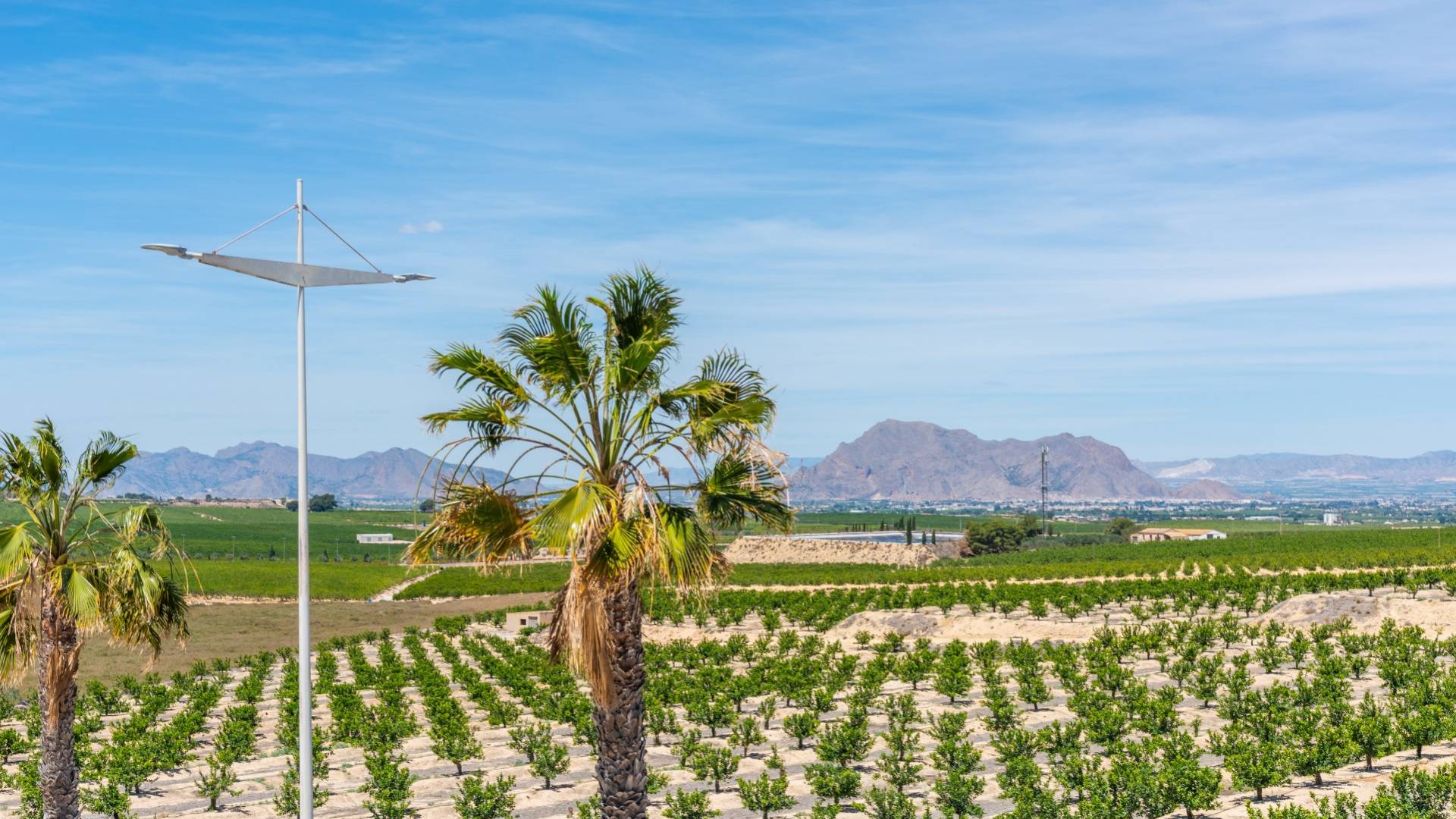 New Build - Independent villa - Algorfa