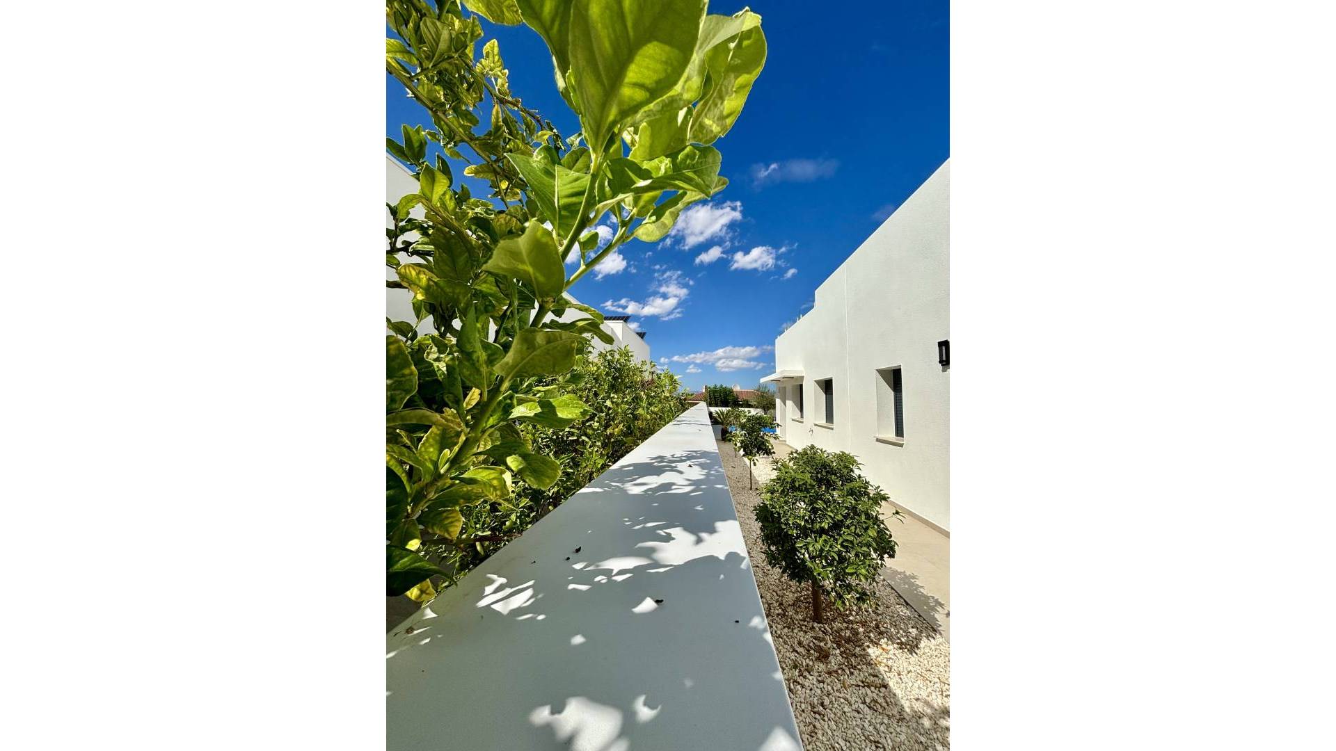 New Build - Independent villa - Benijofar