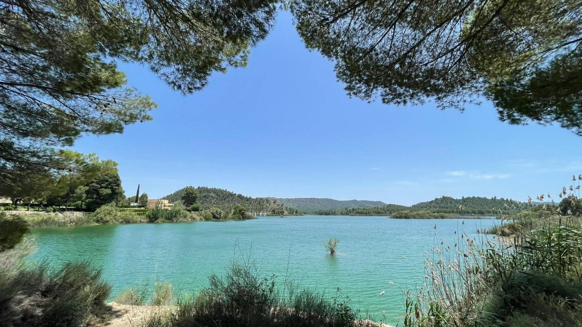 New Build - Independent villa - Calasparra
