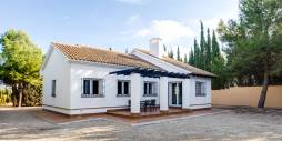 New Build - Independent villa - Fuente Alamo