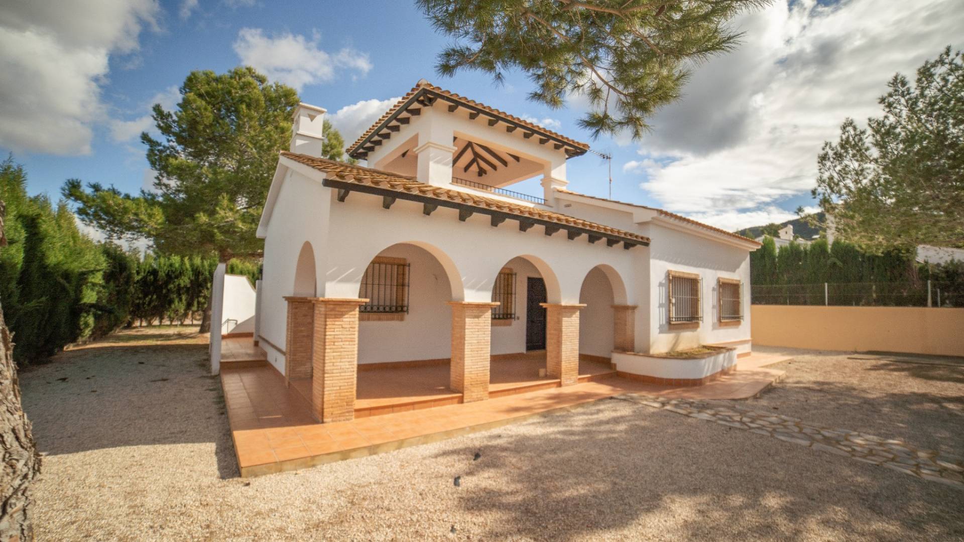 New Build - Independent villa - Las Palas