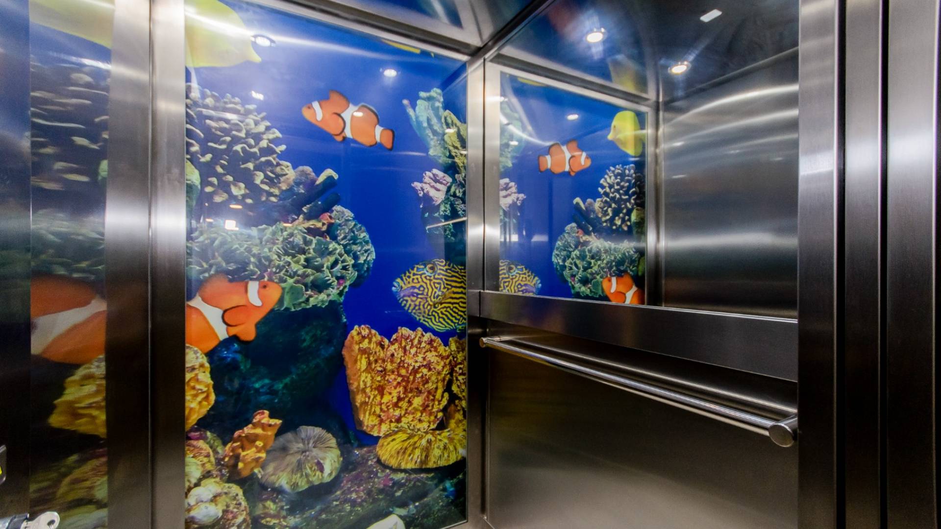 New Build - Independent villa - Orihuela Costa - Dehesa de Campoamor