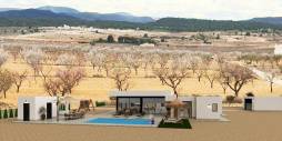 New Build - Independent villa - Pinoso