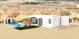 New Build - Independent villa - Pinoso