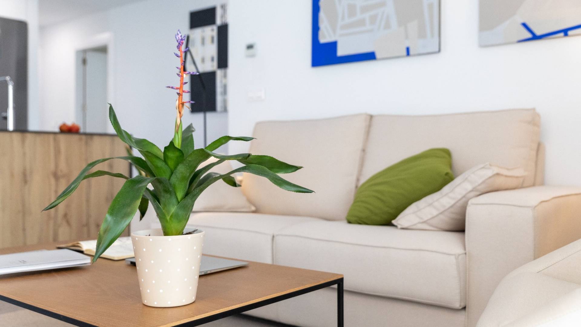 New Build - Independent villa - Polop