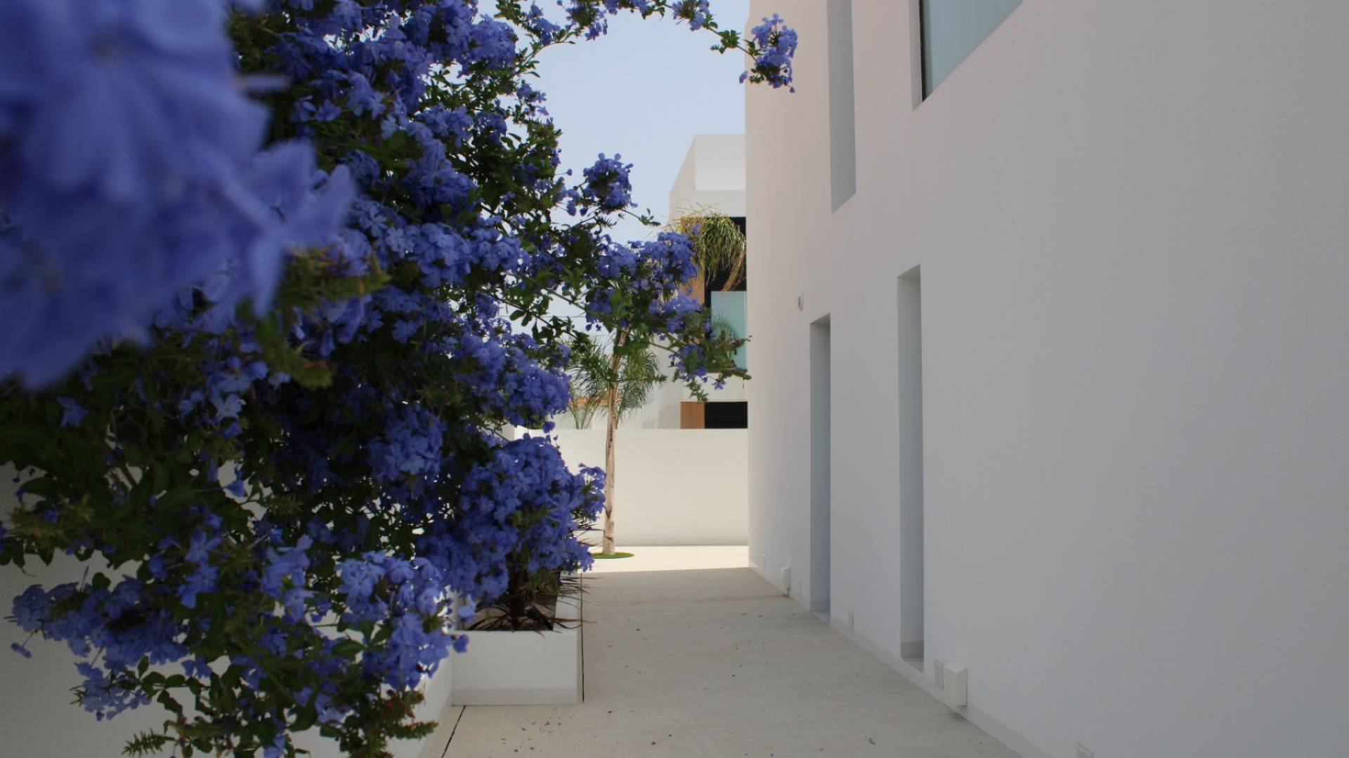 New Build - Independent villa - Torre de la Horadada