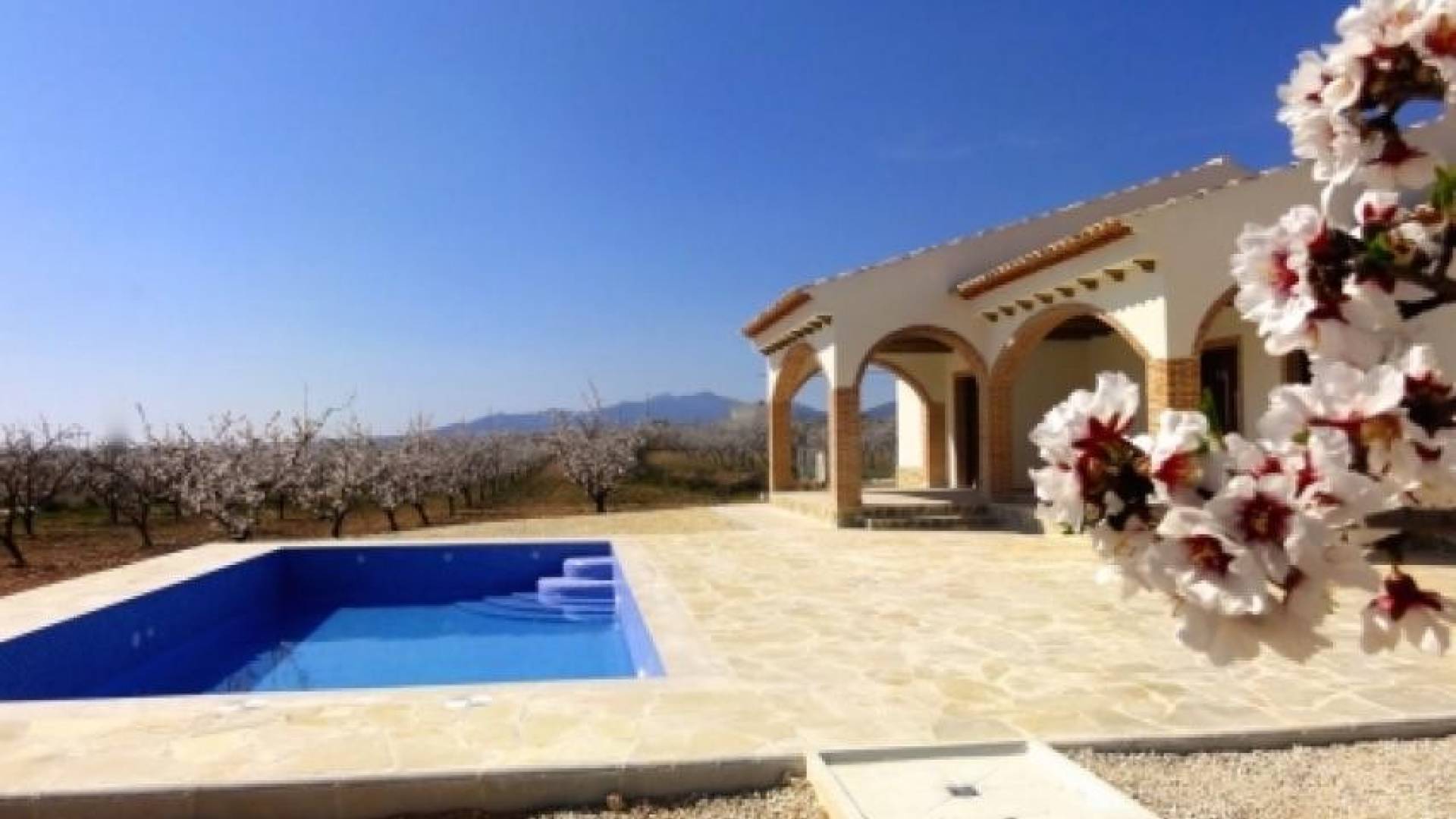 New Build - Independent villa - Ubeda - Úbeda