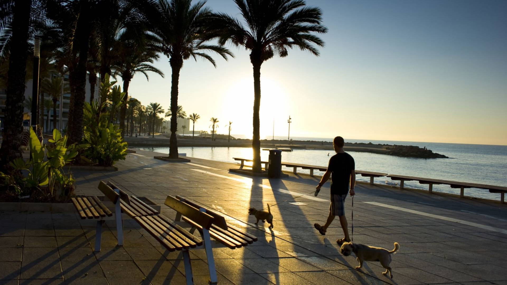 New Build - Penthouse - Torrevieja - Punta Prima