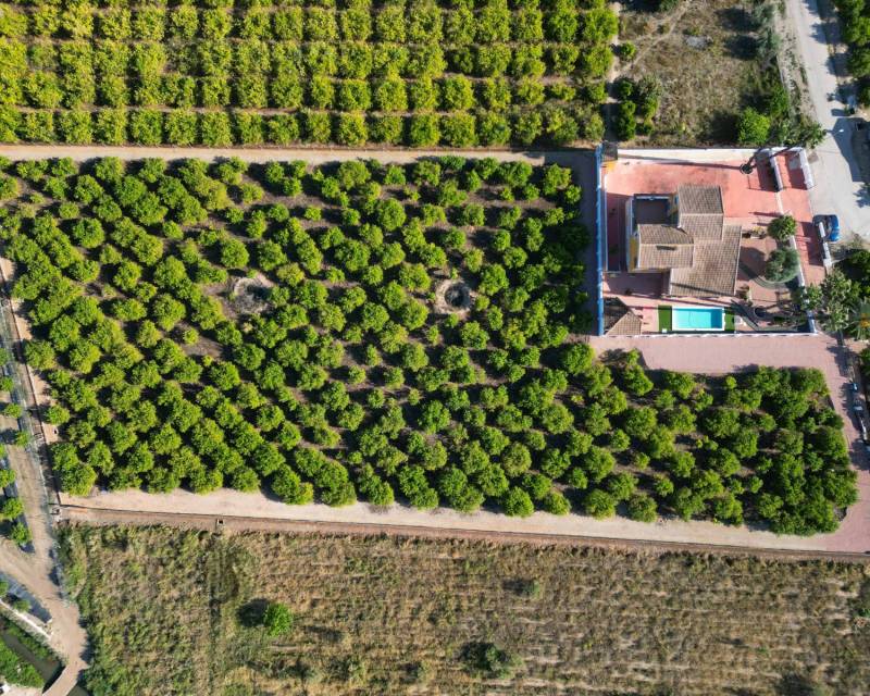 Nieruchomość Finca Country · z drugiej ręki · Orihuela · Orihuela