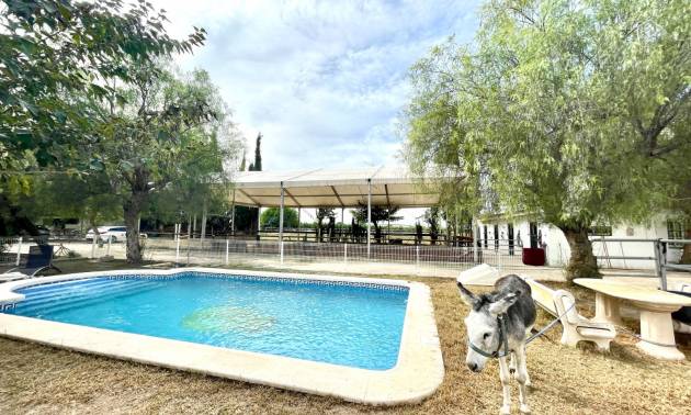 Nieruchomość Finca Country - z drugiej ręki - Orihuela - Orihuela