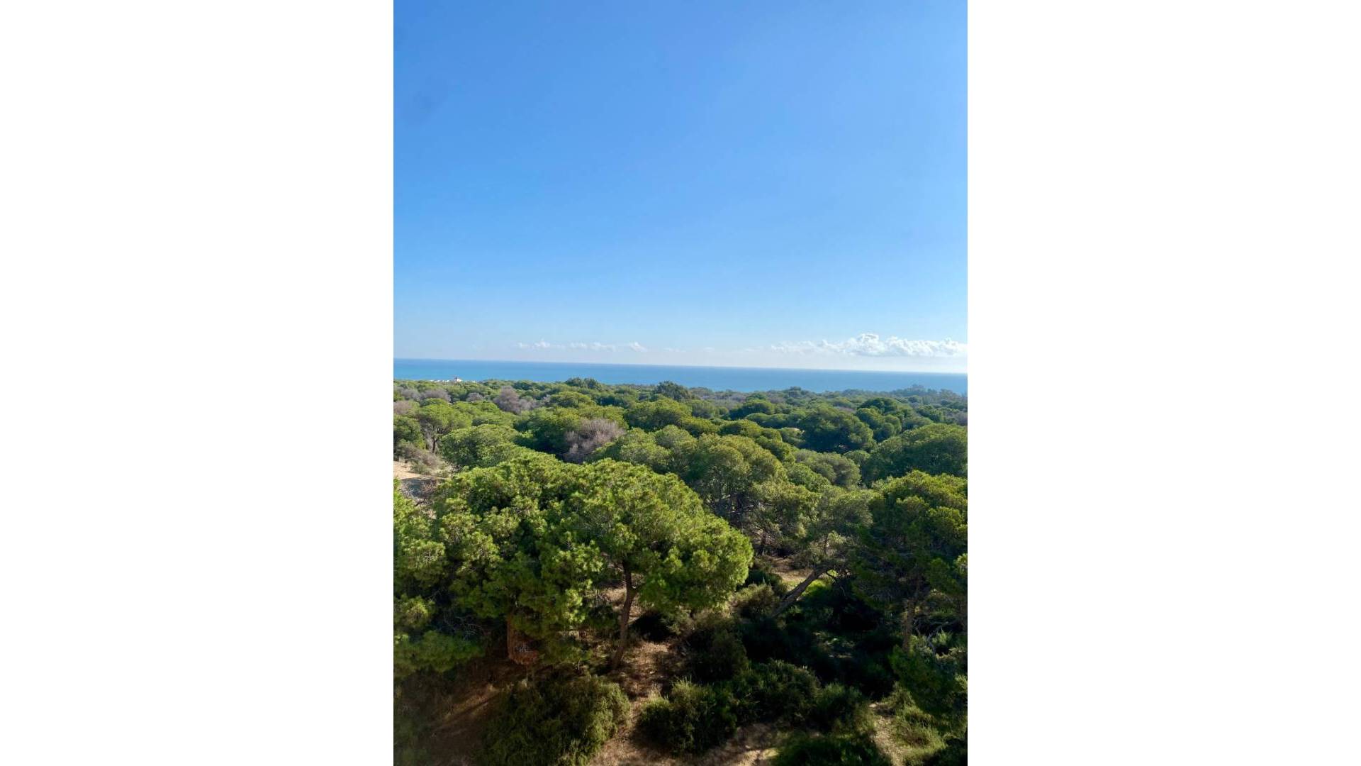 Nieuw gebouw - Appartement - Plat - Guardamar del Segura - Centro