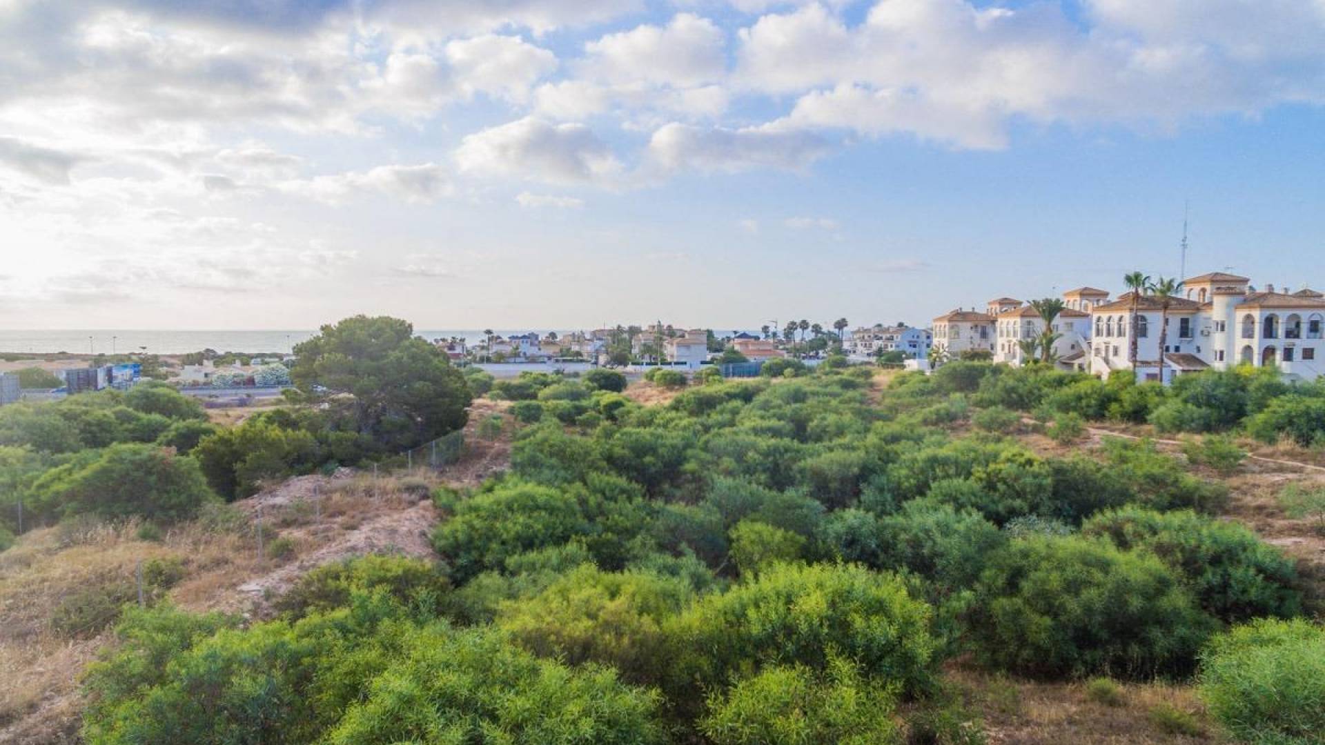 Nieuw gebouw - Appartement - Plat - Orihuela Costa - Playa Flamenca