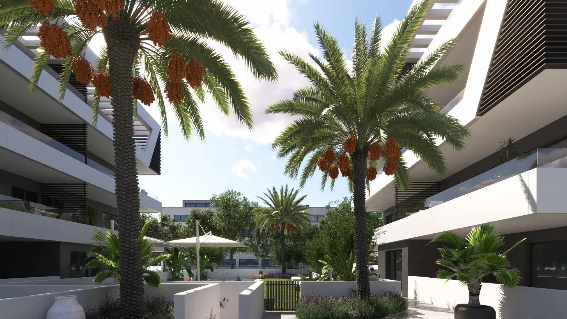 Nieuw gebouw - Begane grond - San Juan Alicante - Sant Joan d'Alacant