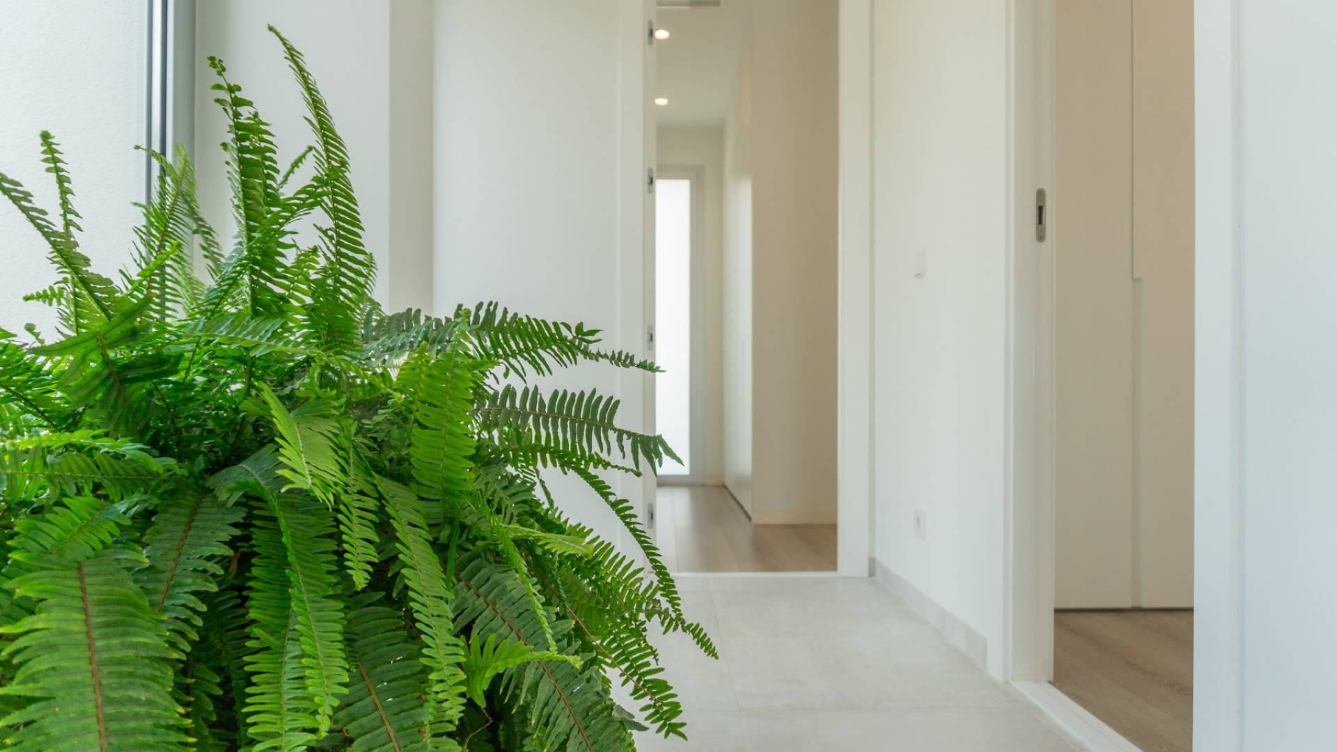Nieuw gebouw - Onafhankelijke villa - Las Colinas - San Miguel de Salinas