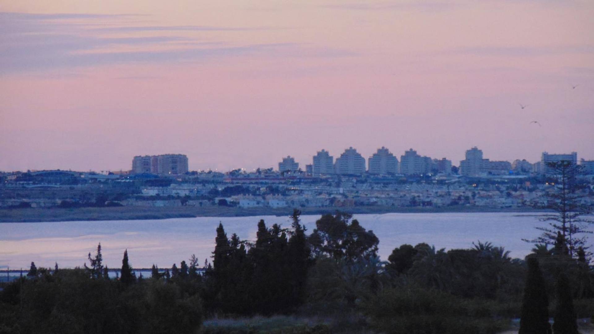 Nieuw gebouw - Onafhankelijke villa - Los Montesinos - La Herrada